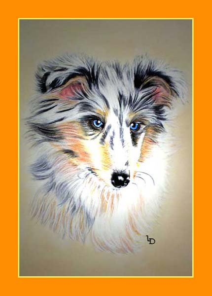 Retour galerie animaux